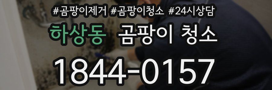 하상동 곰팡이 청소