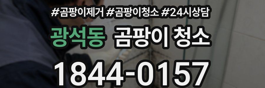 광석동 곰팡이 청소