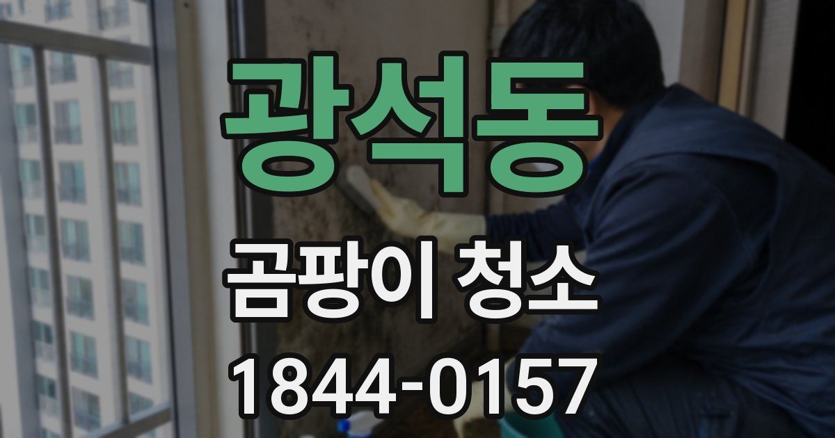 광석동 곰팡이 청소