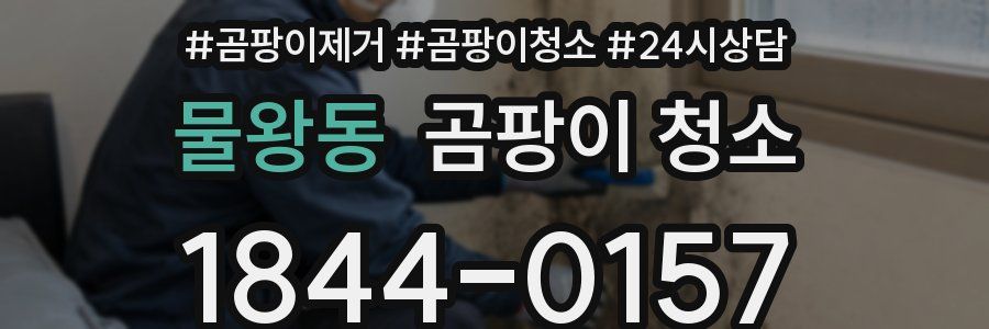 물왕동 곰팡이 청소