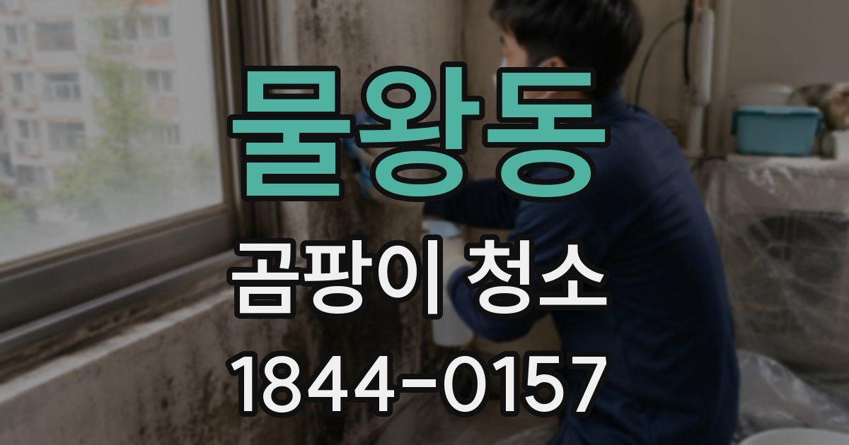 물왕동 곰팡이 청소