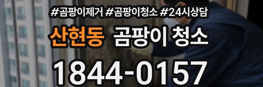 산현동 곰팡이 청소