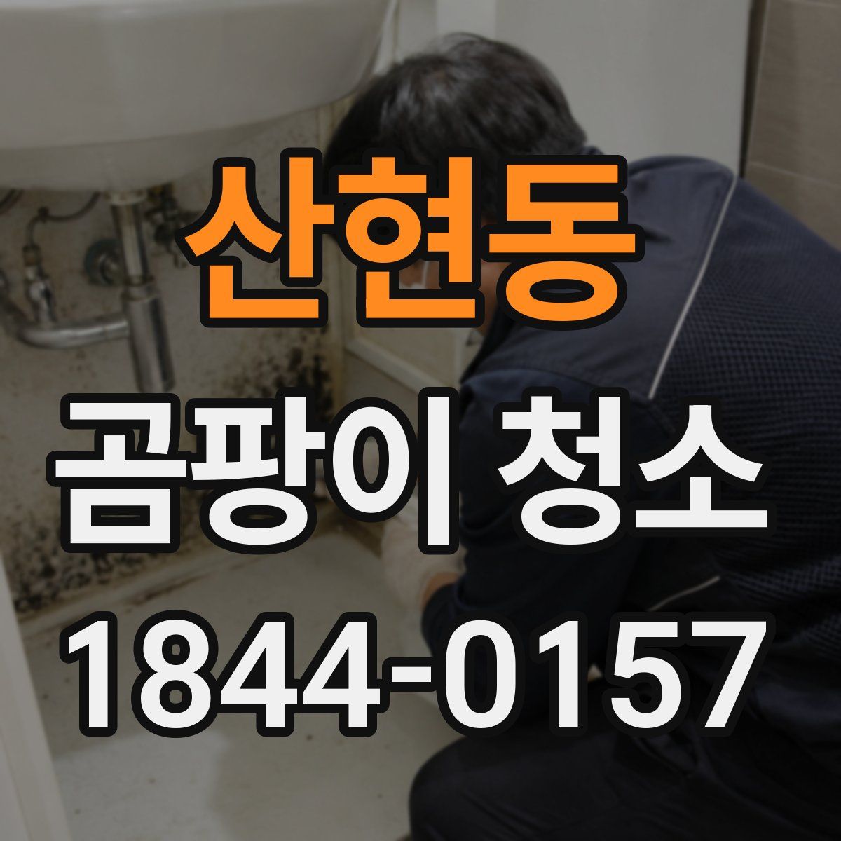산현동 곰팡이 청소
