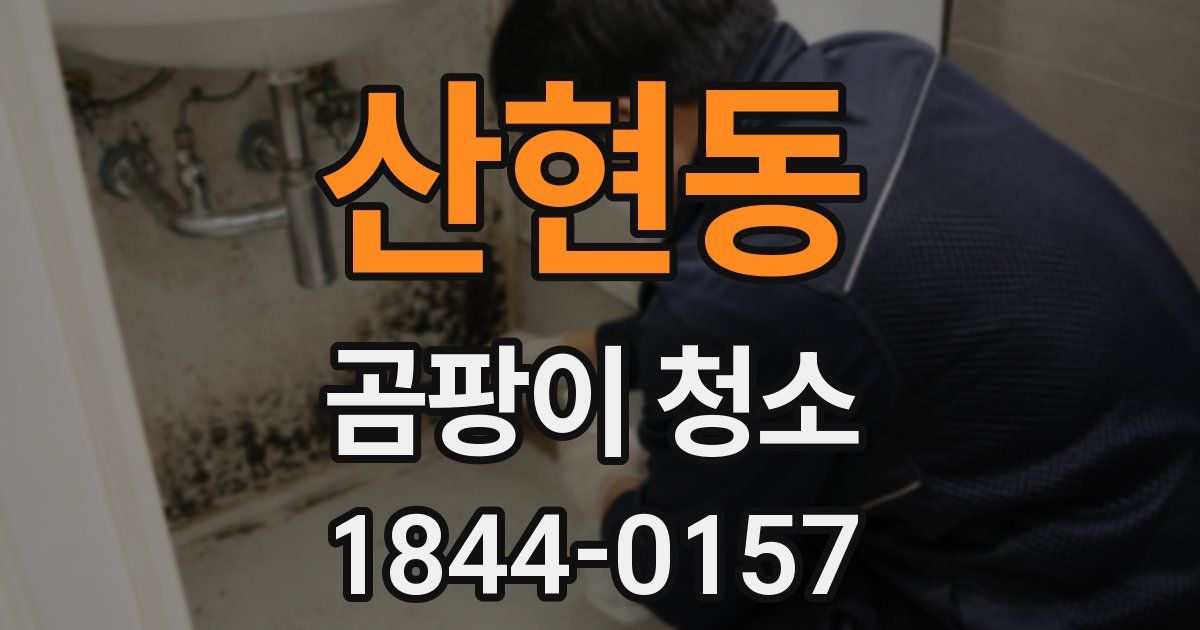 산현동 곰팡이 청소