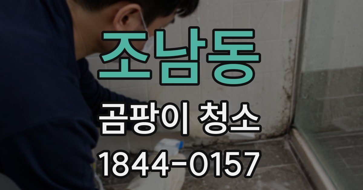 조남동 곰팡이 청소