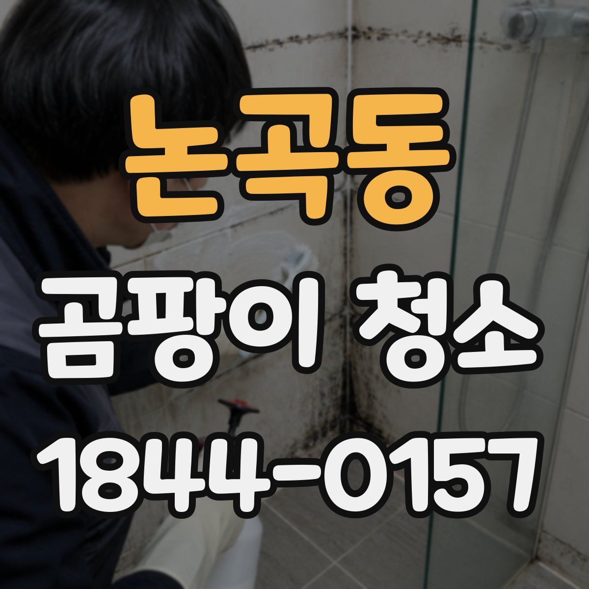 논곡동 곰팡이 청소