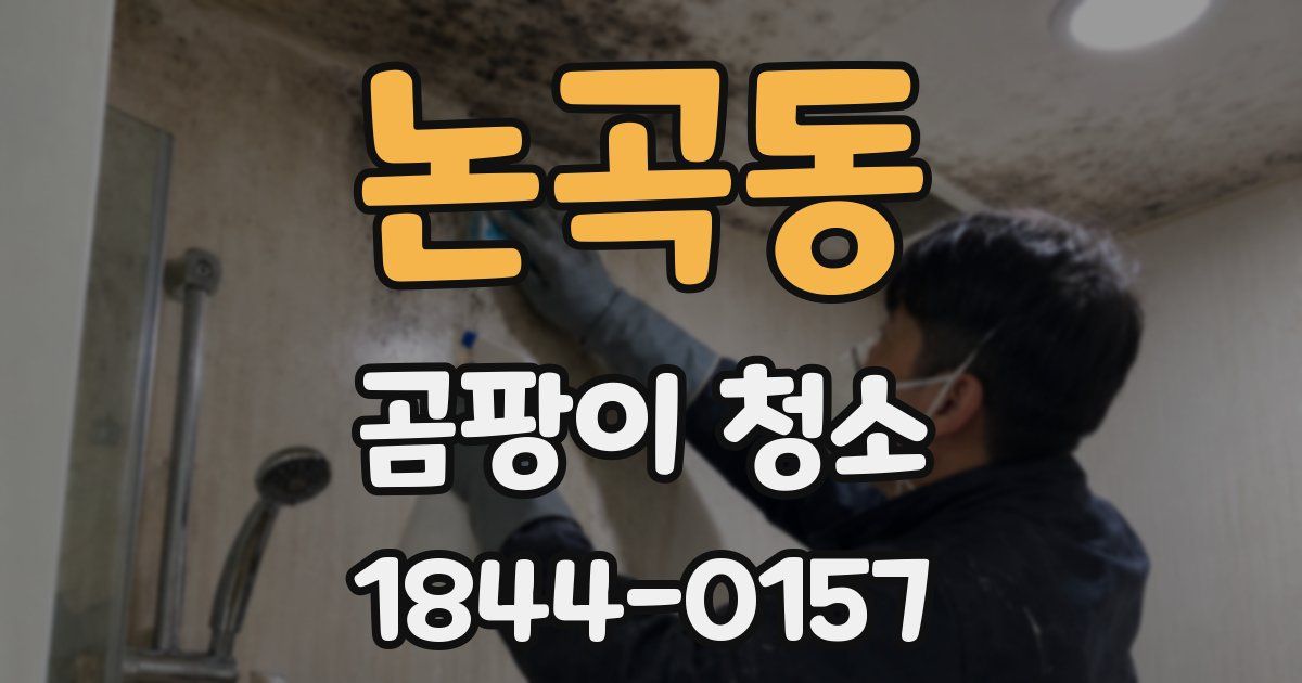 논곡동 곰팡이 청소