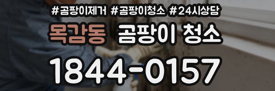 목감동 곰팡이 청소