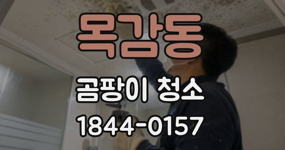 목감동 곰팡이 청소