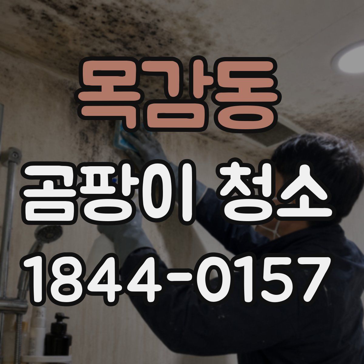 목감동 곰팡이 청소