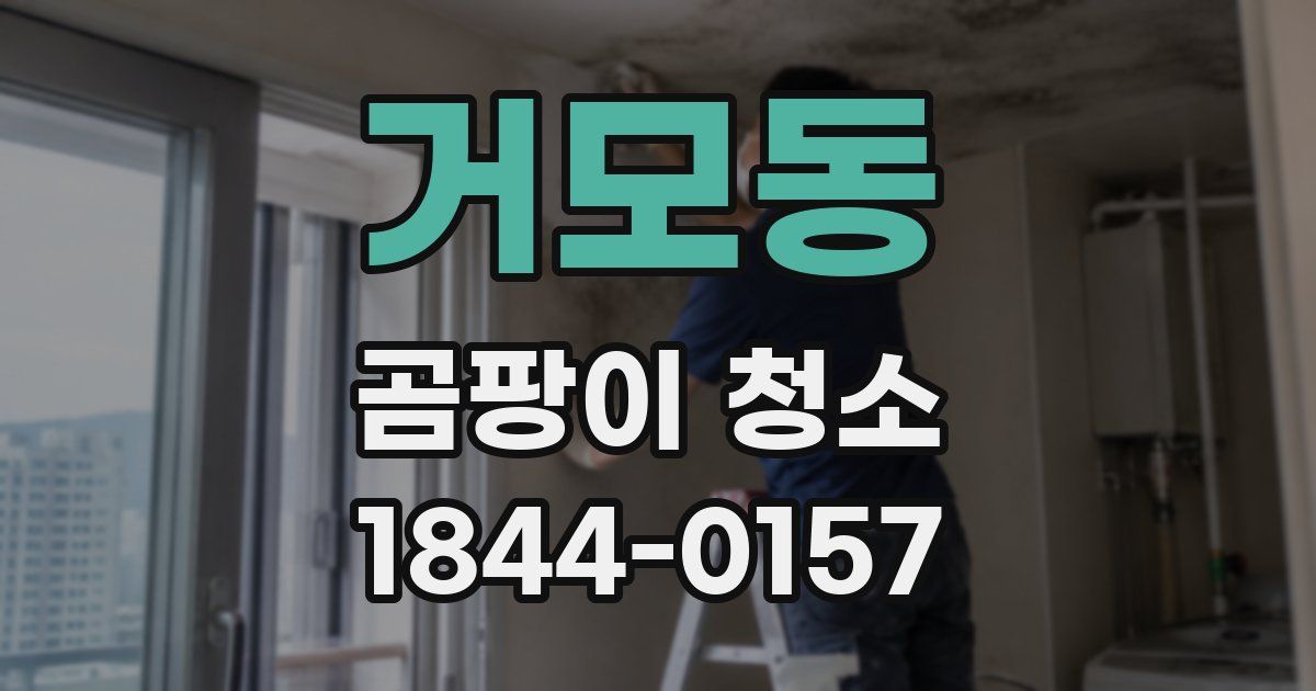 거모동 곰팡이 청소