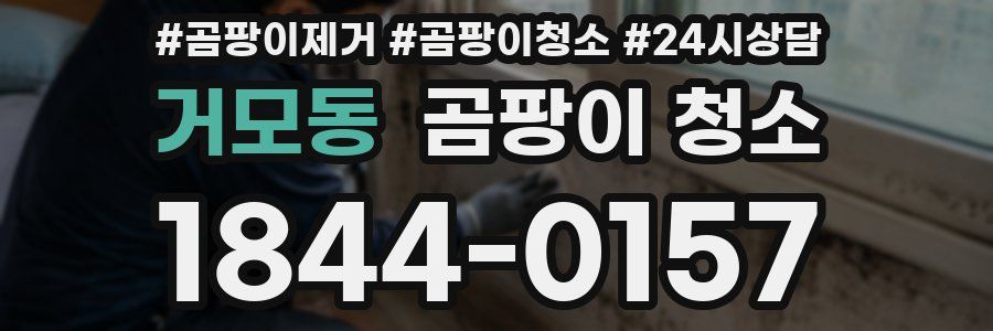 거모동 곰팡이 청소