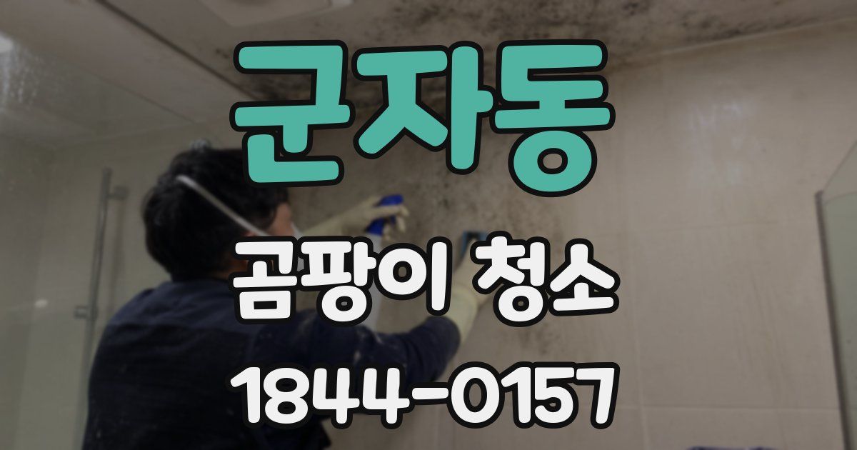 군자동 곰팡이 청소