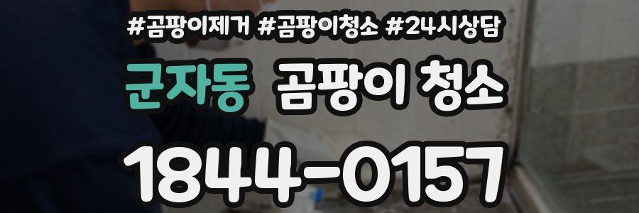 군자동 곰팡이 청소