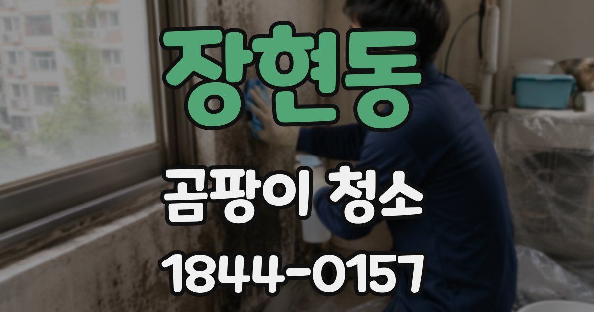 장현동 곰팡이 청소