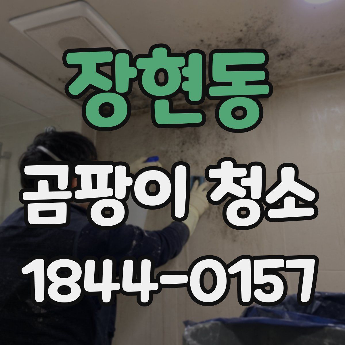 장현동 곰팡이 청소