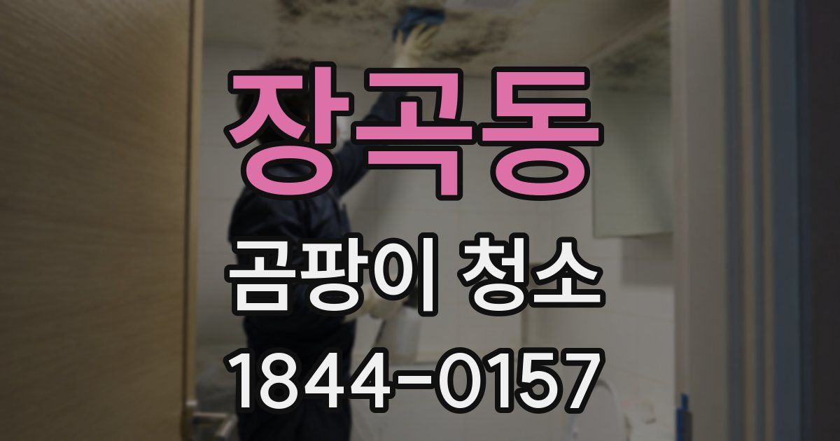 장곡동 곰팡이 청소