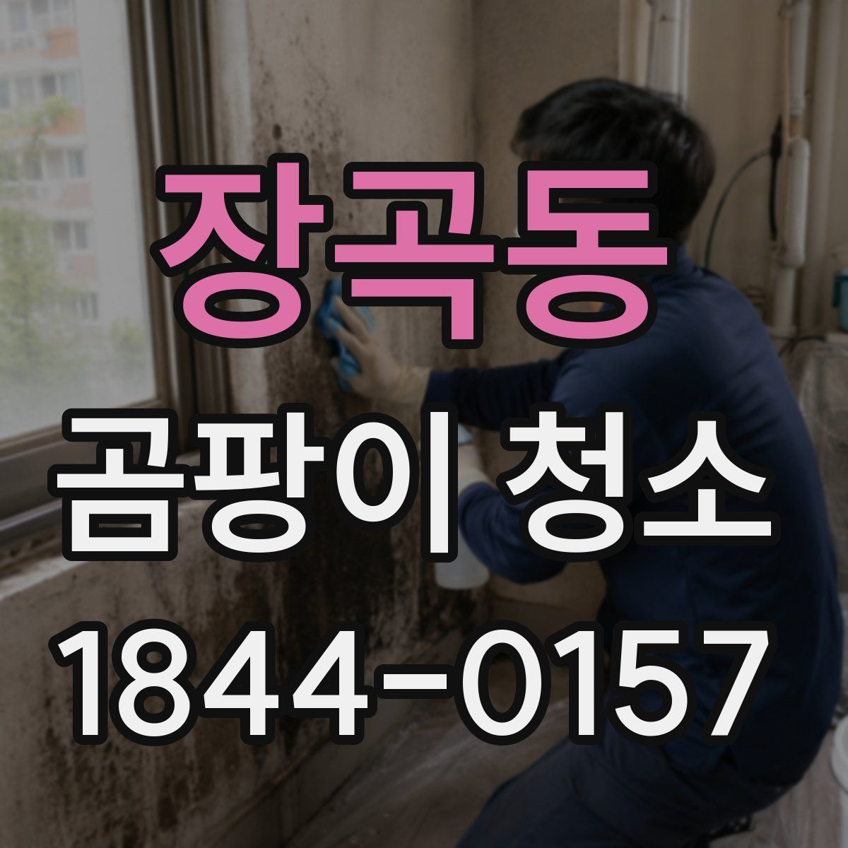 장곡동 곰팡이 청소