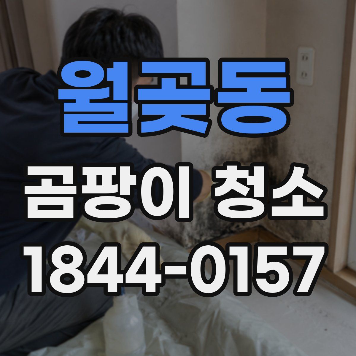 월곶동 곰팡이 청소