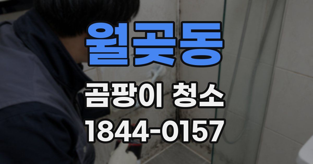 월곶동 곰팡이 청소