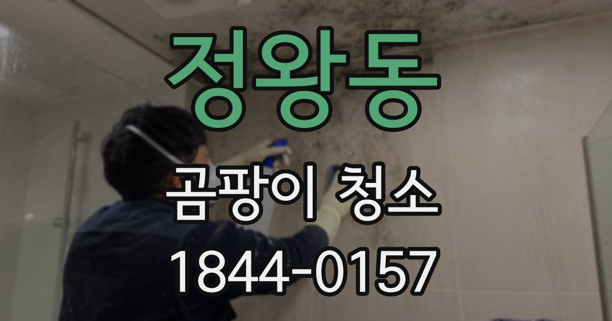 정왕동 곰팡이 청소