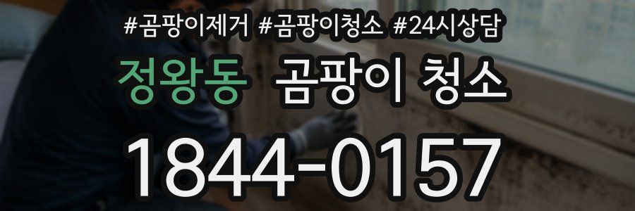 정왕동 곰팡이 청소