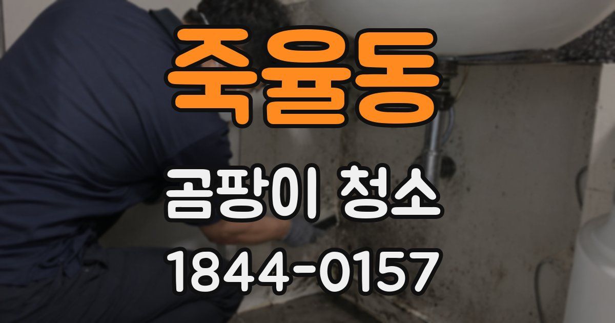 죽율동 곰팡이 청소