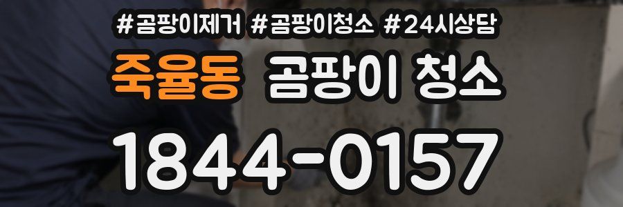 죽율동 곰팡이 청소