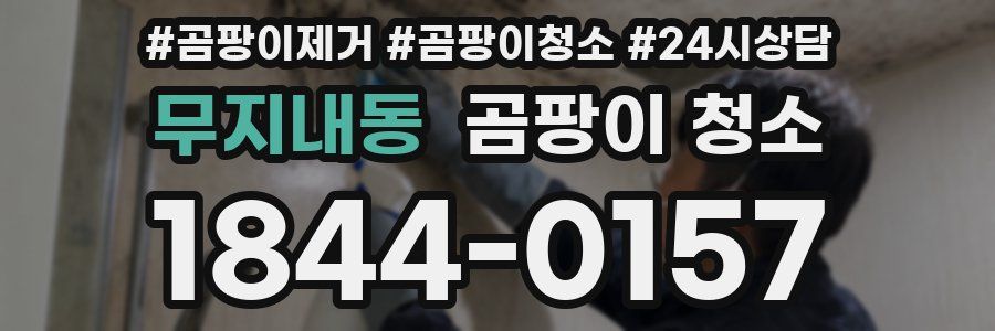 무지내동 곰팡이 청소