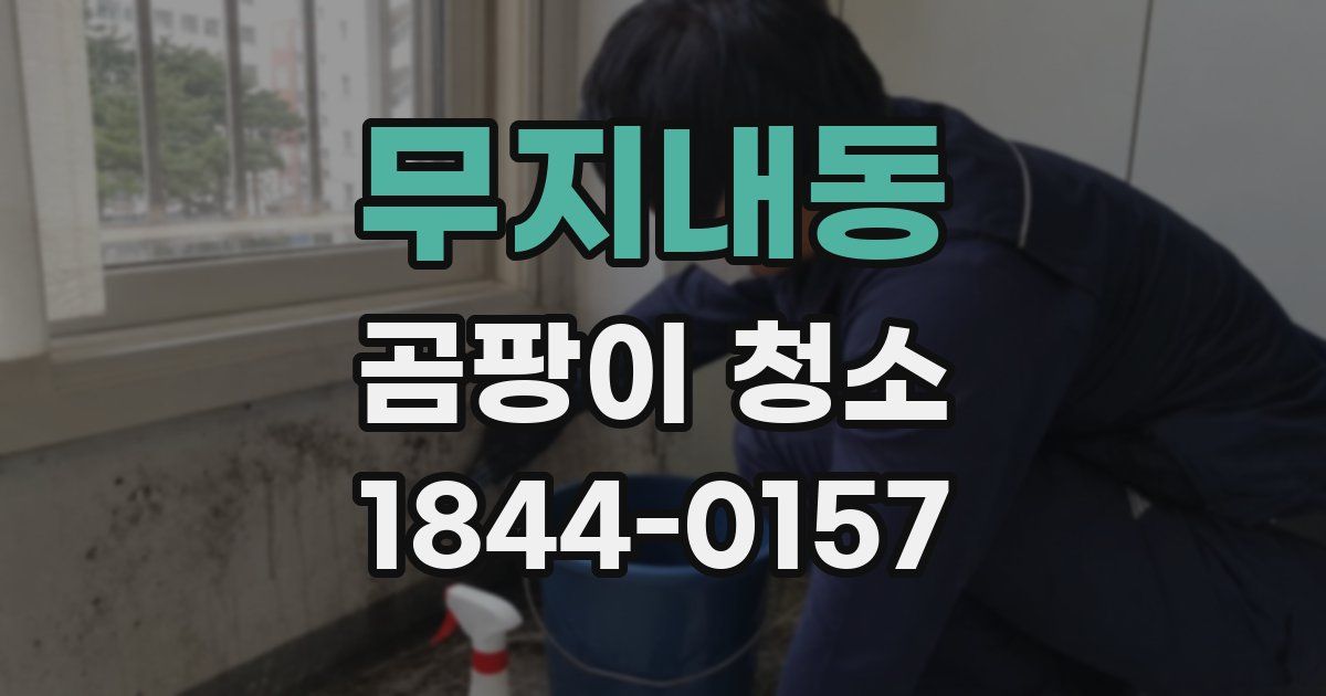 무지내동 곰팡이 청소