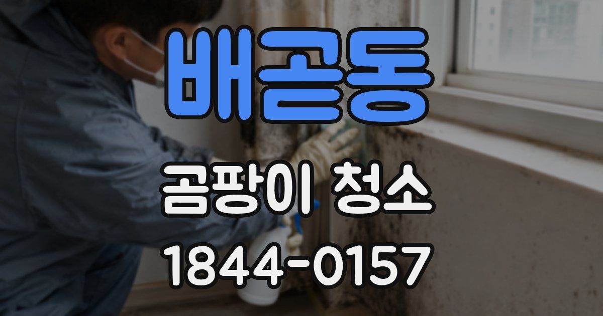 배곧동 곰팡이 청소