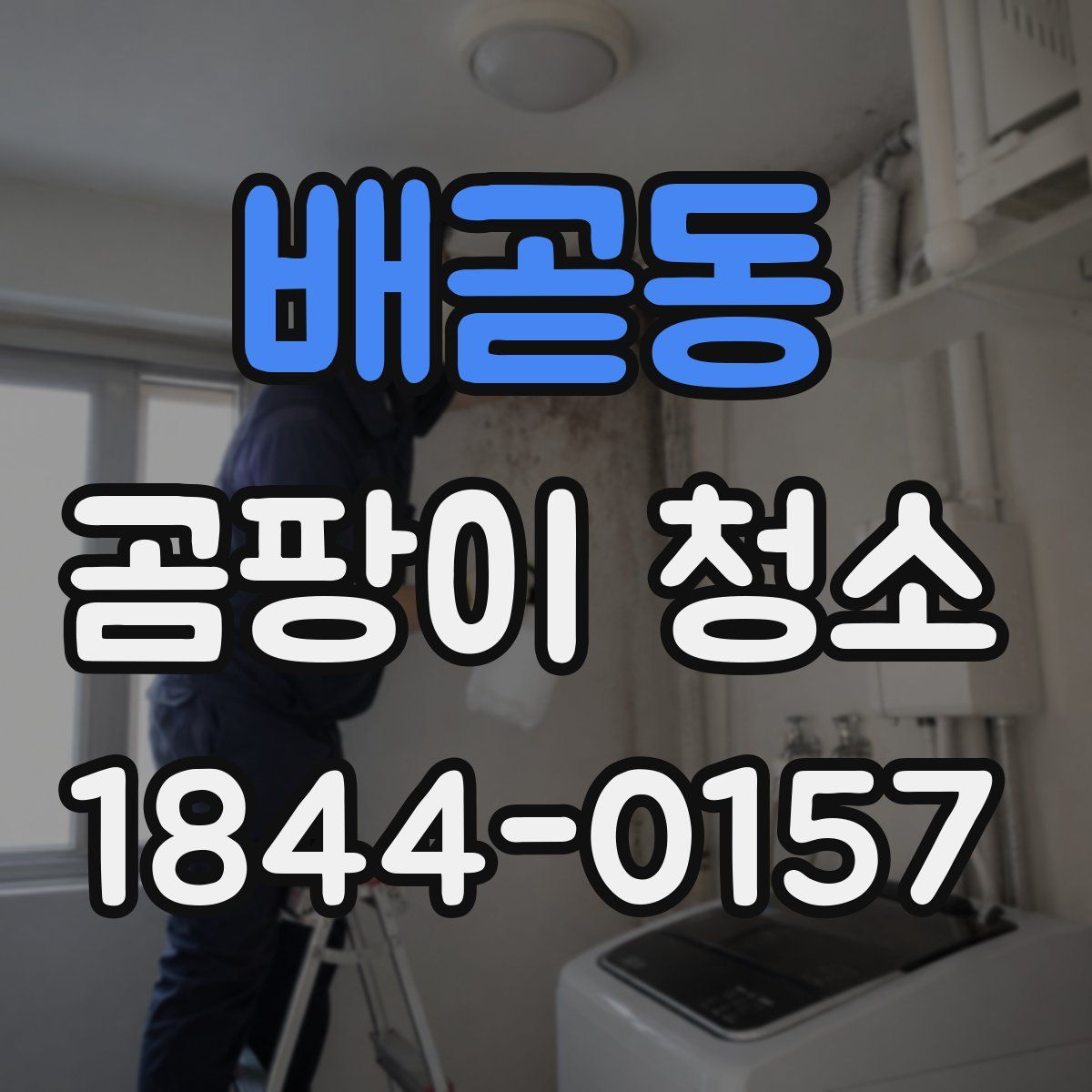 배곧동 곰팡이 청소