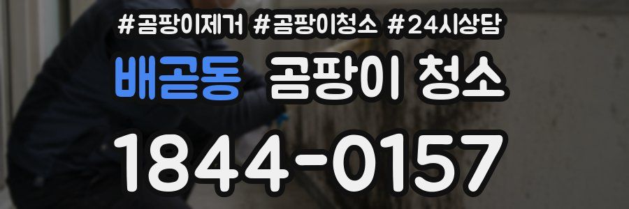 배곧동 곰팡이 청소