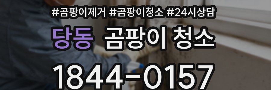 당동 곰팡이 청소