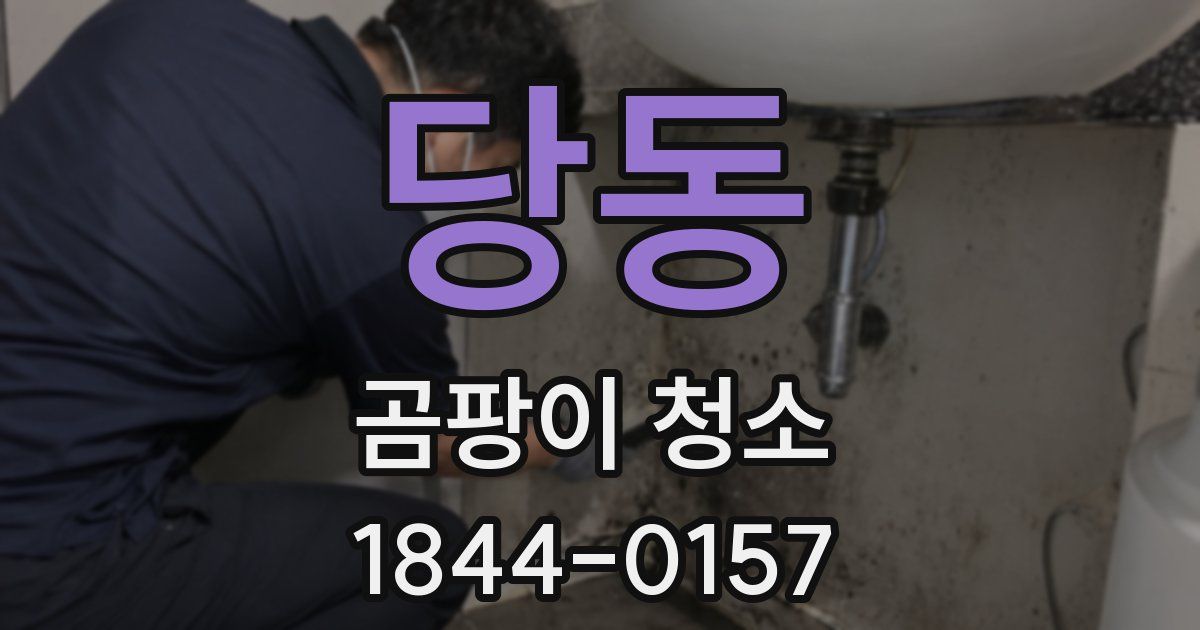 당동 곰팡이 청소