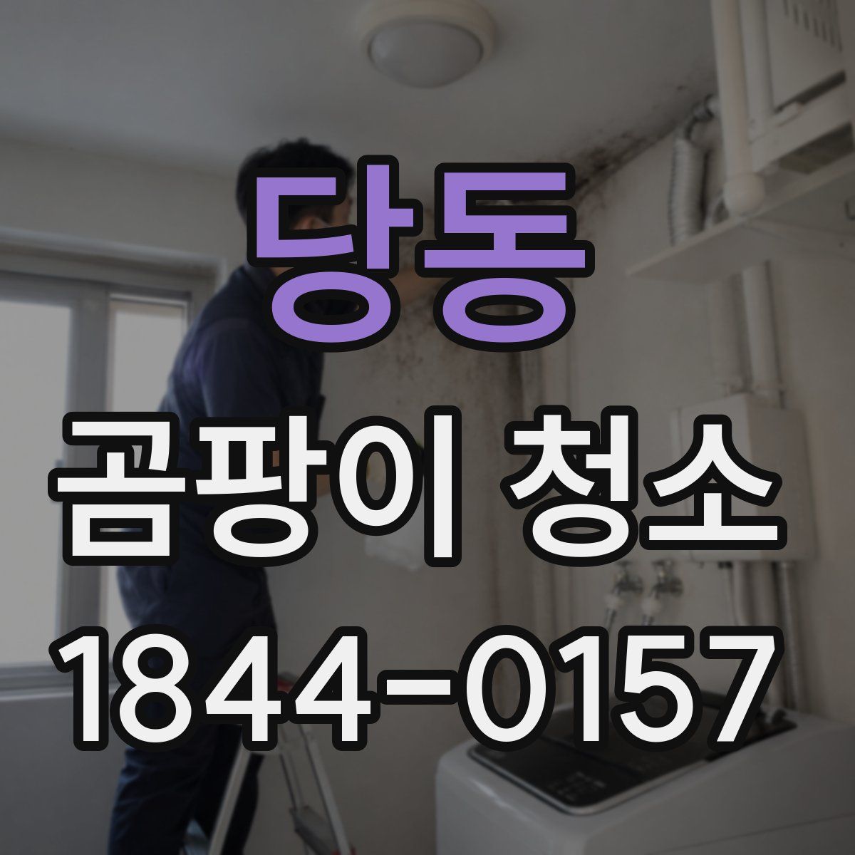 당동 곰팡이 청소