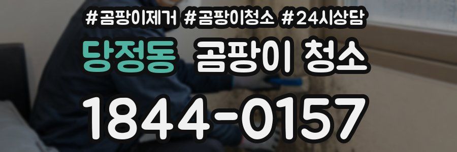 당정동 곰팡이 청소