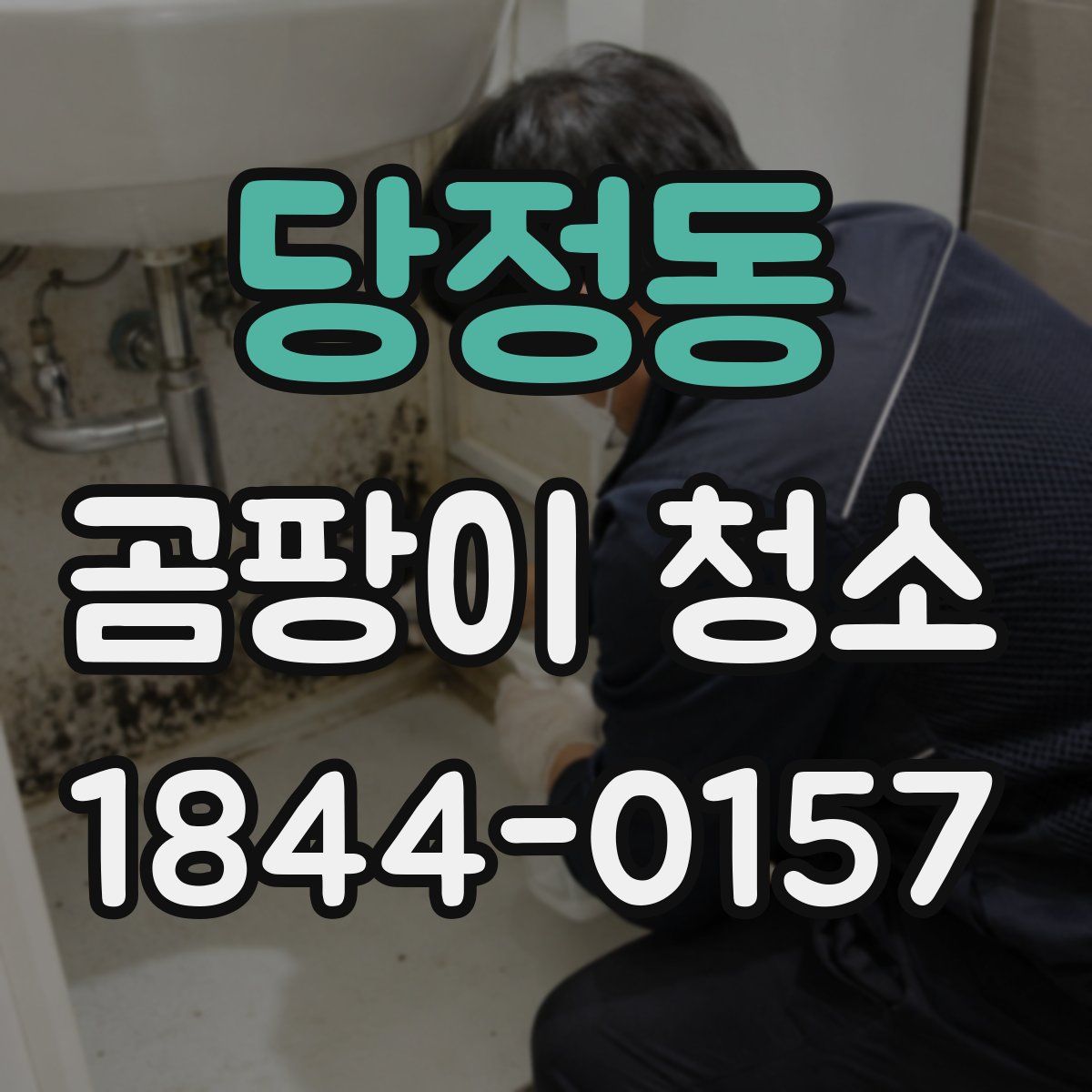 당정동 곰팡이 청소