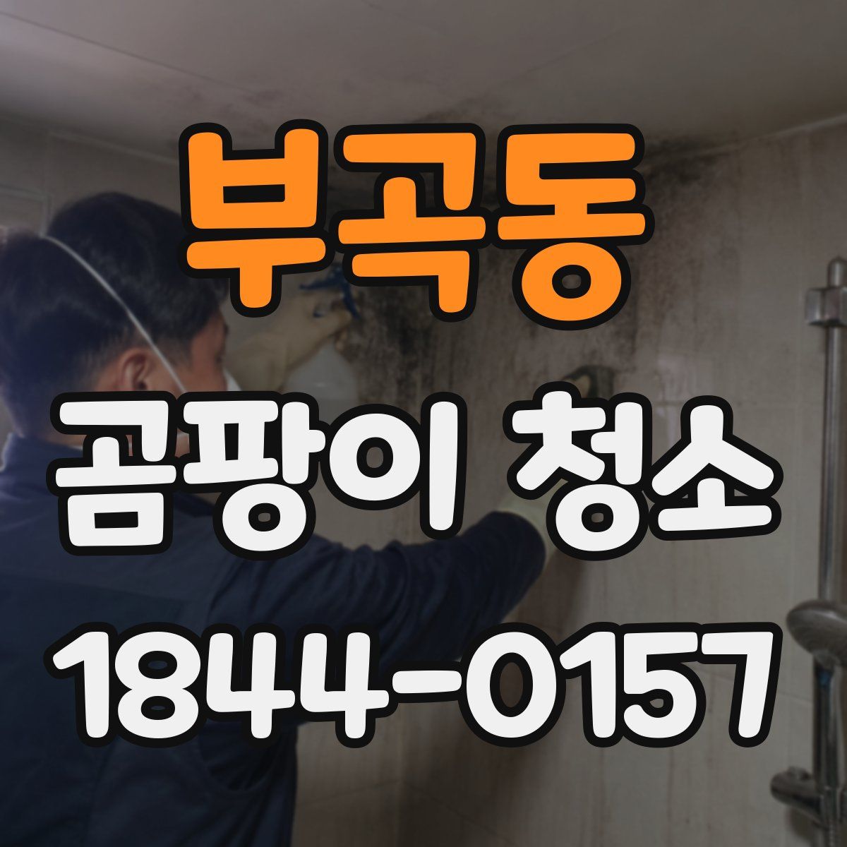 부곡동 곰팡이 청소