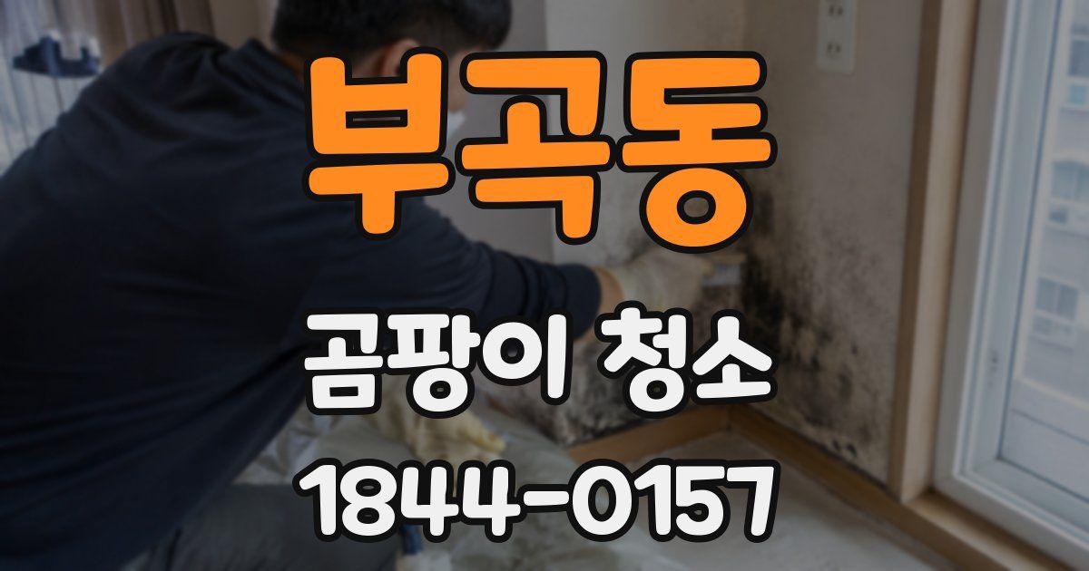부곡동 곰팡이 청소