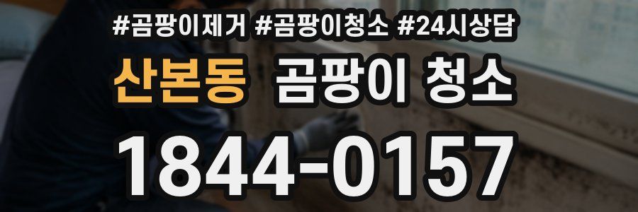 산본동 곰팡이 청소