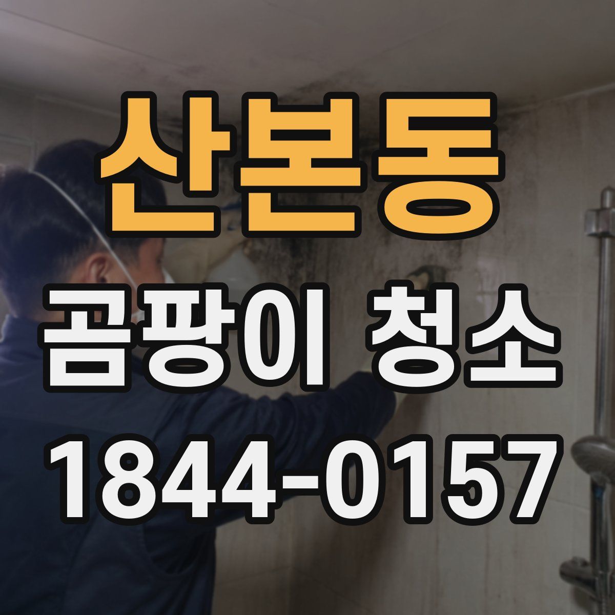 산본동 곰팡이 청소