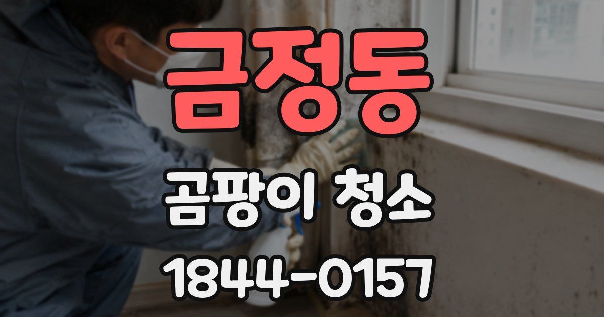 금정동 곰팡이 청소