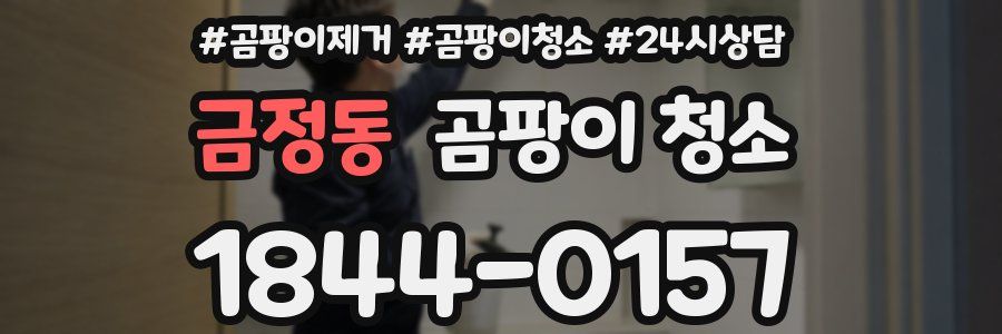 금정동 곰팡이 청소