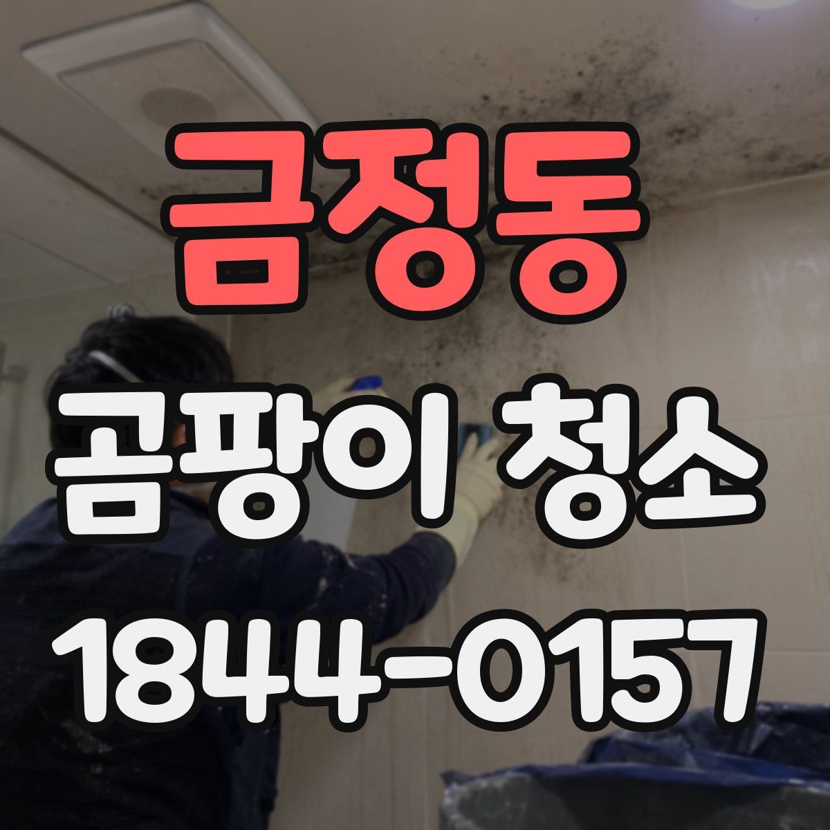 금정동 곰팡이 청소