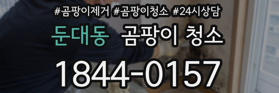 둔대동 곰팡이 청소