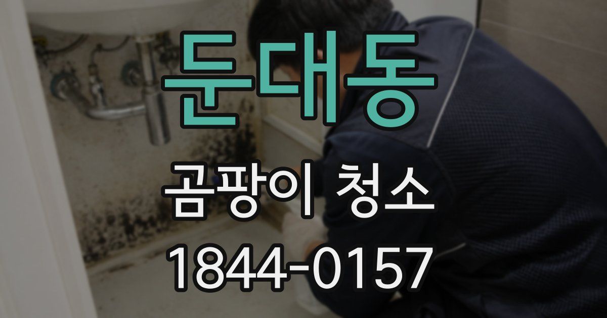 둔대동 곰팡이 청소