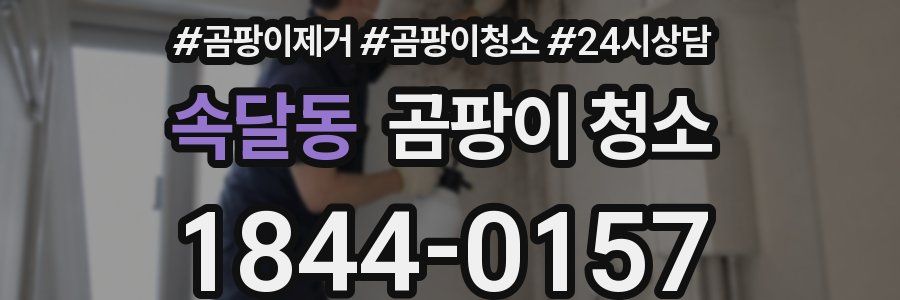속달동 곰팡이 청소