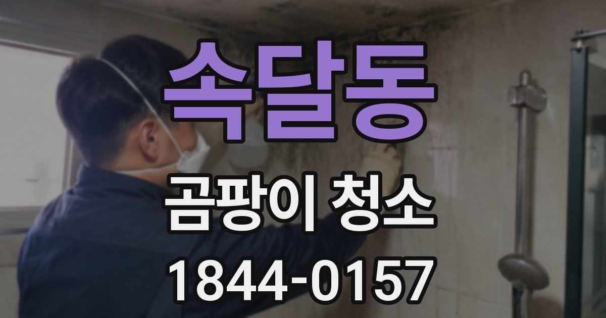 속달동 곰팡이 청소