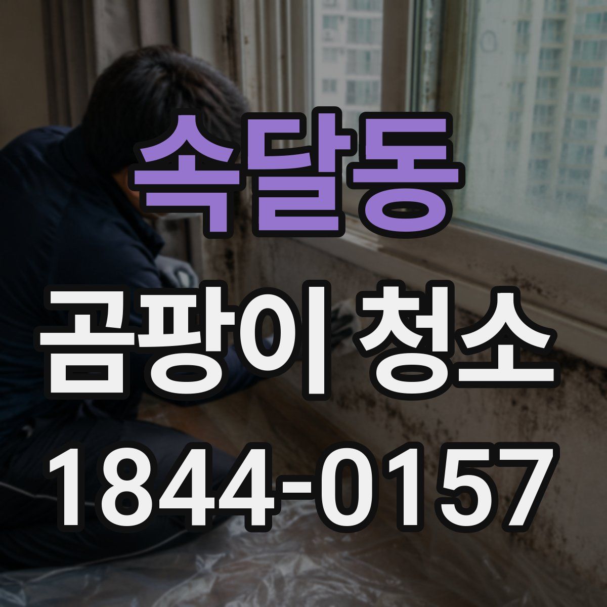 속달동 곰팡이 청소